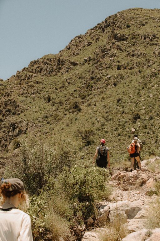 Local Day Trips to Keep You Moving and Curious